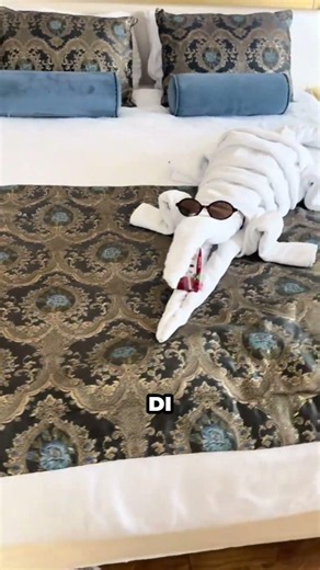 Perbedaan Tip Kecil Vs Besar Di Hotel😂