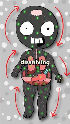 The Cure to EVERY Disease 🤯🚨 #didyouknow #animation #unbelievable #historyfacts