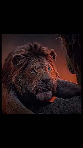 Simbha know her dead death 🥹 | the lion king|( slowed and reverb)#simbha#thelionking #vital