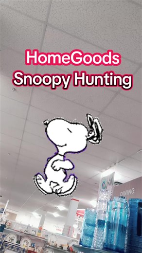 Snoopy's HomeGoods Adventure
