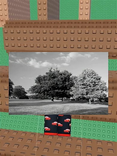 ESSA IMAGEM NÃO É COLORIDA…😱#robloxgames #robloxrant #robloxmemes #robloxstory #robloxbrasil