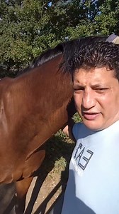 Tous ensemble on Reels