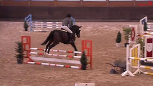 24K views · 223 reactions | Überlegen gewinnt dieser elitäre...