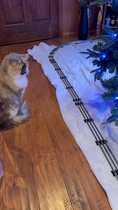 883K views · 13K reactions | Christmas train! | Brandon Lauber | Facebook