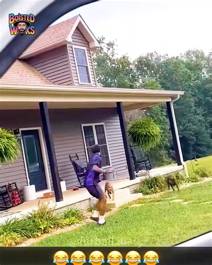 250K views · 522 reactions | Dog chase turns into survival show  | Boisted WOOKS | Facebook