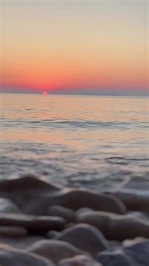 Embrace the Simple Things in Life