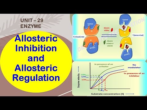 Allosteric Enzymes | Allosteric Inhibition & Allosteric Regulation | Feedback Inhibition | Enzyme 29