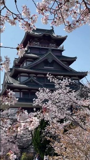 Fushimi-Momoyama Castle 🇯🇵 Kyoto’s Hidden Sakura Castle