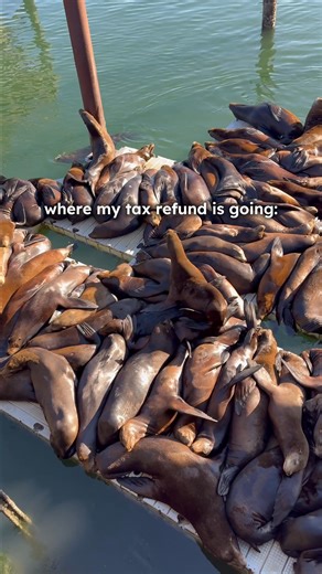 Your maximum tax refund is guaranteed with FreeTaxUSA. What you do with it is up to you. ✈️️ #freetaxusa | FreeTaxUSA