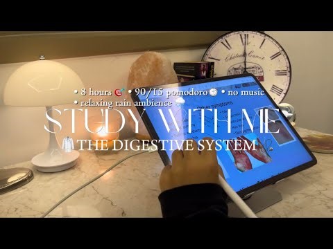 Study with me The Digestive System 🩺 | 8 hours [90/15 pomodoro] Productive study session