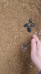 2.4M views · 227K reactions | #Samsung #Mobile #S24Ultra #Mobile Digital #Digital Technology | Trendy Tech Review | Facebook