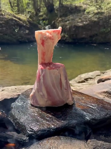 Delicious Beef Shank Recipe for Outdoor Cooking