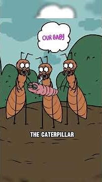 Large Blue Butterfly - The Nightmare for Ants