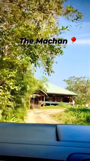 This Secret Treehouse Near Mumbai 😳 | The Machan