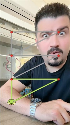 Snake Connect Draw IQ