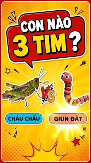 Câu đố hack não: 99% trả lời sai, bạn thì sao? #shorts #caudo