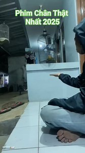 1.2K reactions · 92 shares | BỘ PHIM CHÂN THẬT NHẤT 2025 | Lê Hải | Facebook