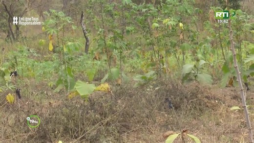 🟥Direct l Le 19 Heures 30 de RTI 2 du 03 février 2026 #RTIinfo | RTI Info