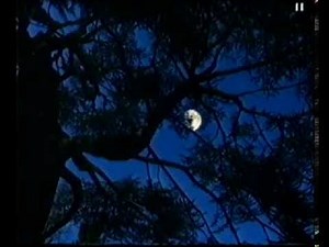 Flitwick Manor Ghost