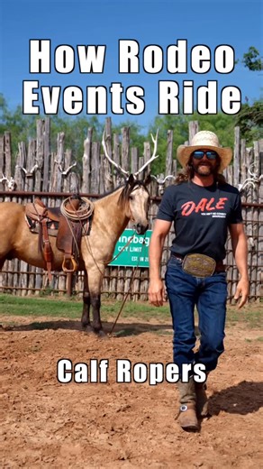 Dale Brisby on Instagram: "Coming in at number 17 for Top Posts of ‘25 🤣"