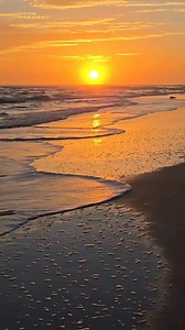 Winter solstice sunrise from Matanzas Inlet. Have a great day ❤️ | First Light InSite