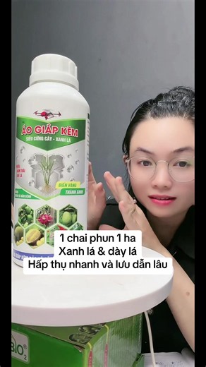 Phun 1 chai cho 1 ha: Kẽm nano giúp lúa xanh lá dày lá