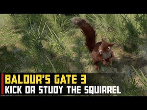 Kick the Squirrel or Study the Creature's Behaviour | Baldur's Gate 3