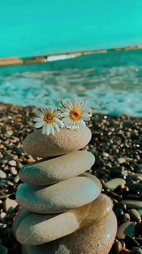 #Amemmm | Ana Nascimento