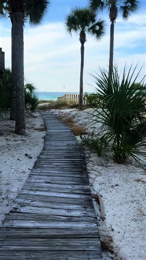 Thankful for Sunshine, Sand and Surf