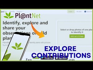 How to Explore User Contributions in Planet Net 2026?