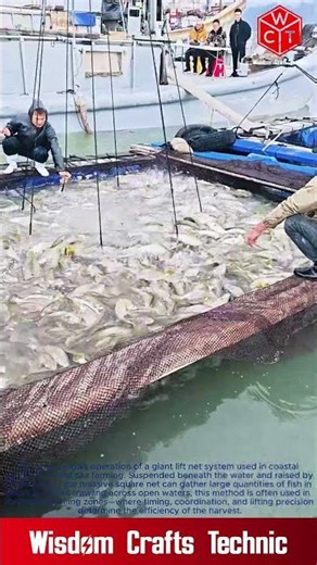Massive Harvest This Giant Lift Net Can Catch Hundreds of Fish in Seconds