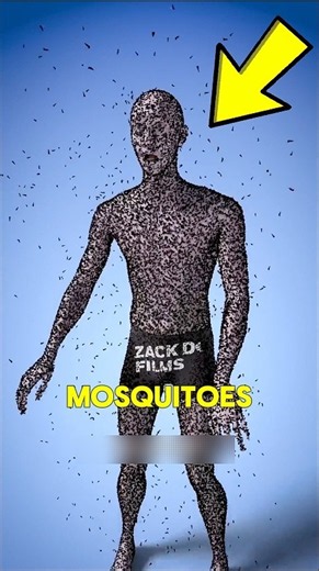 Why Do Mosquitoes Bite YOU More Than Everyone Else? 🦟😳