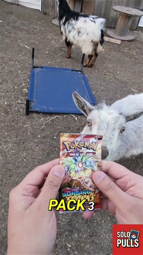 😳 This Whole Thing Was Wild…