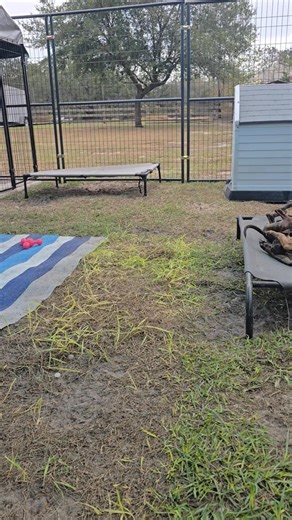 850 reactions · 45 shares | Overkill... | First Ladies Farm and Sanctuary | Facebook