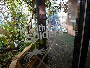 In With the Spiders @ London Zoo — London Display Graphics