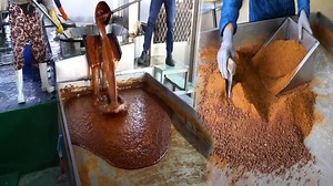 Stunning Journey of Brown Sugar Production Inside the Factory