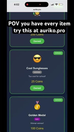 POV you have every item in auriko #aurikolearning