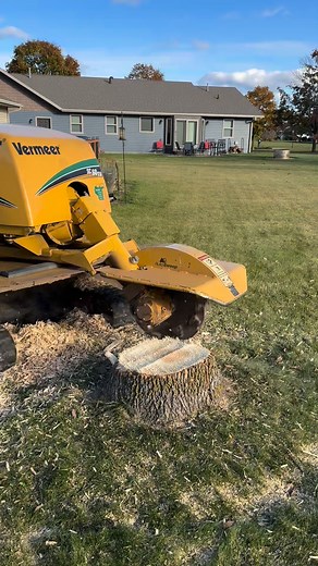 Salute to all Veterans | The Veteran Tree Stump Removal