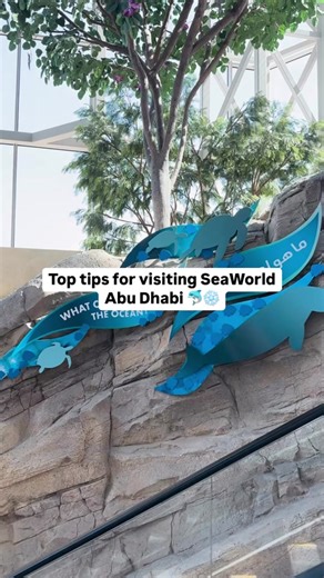 Essential Tips for Visiting SeaWorld Yas Island, Abu Dhabi