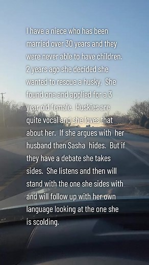 #husky#is#vocal