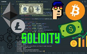 Solidity｜Solidity智能合约开发教程｜Variables