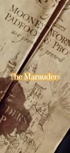 Gracie Matrix on TikTok