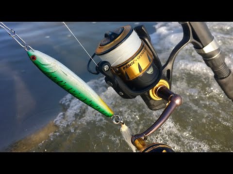 Penn Spinfisher VI Impressions and Lamiglass Insane Surf Review