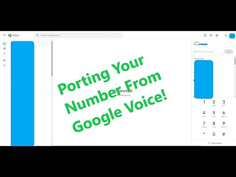 Port Google Voice Phone Number to Another Carrier