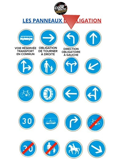 Quiz code de la route ! 20 Panneaux d'obligation. #codedelaroute #panneaux #quiz #quizcode #apprentissage