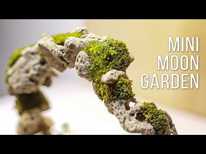 making mini moon garden