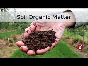 Organic Matter Demonstration