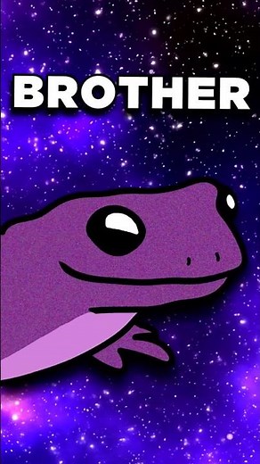 WHAT DOES BRUH MEAN?