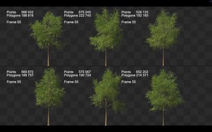 3K views · 30 reactions | Perfect for 3D artists, this VFX Assets' complete pack of 3D looping animated trees with 6 unique variations provides a versatile and powerful foundation for creating natural environments. Get it here: https://80.lv/articles/grab-this-3d-looping-animated-trees-pack-with-6-variations/ | 80 Level | Facebook