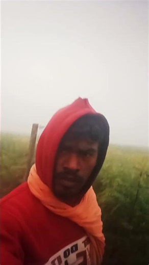 31 जनवरी 2026